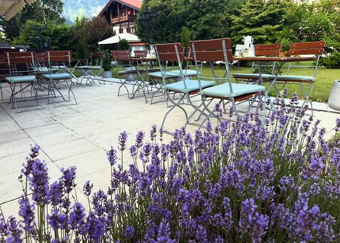Hardi's Hotel